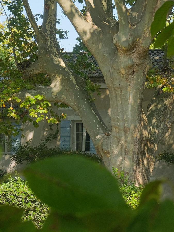 Montjoia Bed & Breakfast LʼIsle-sur-la-Sorgue Eksteriør bilde