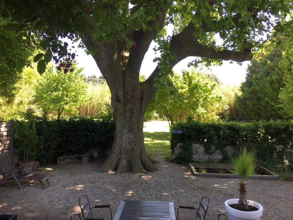 Montjoia Bed & Breakfast LʼIsle-sur-la-Sorgue Eksteriør bilde