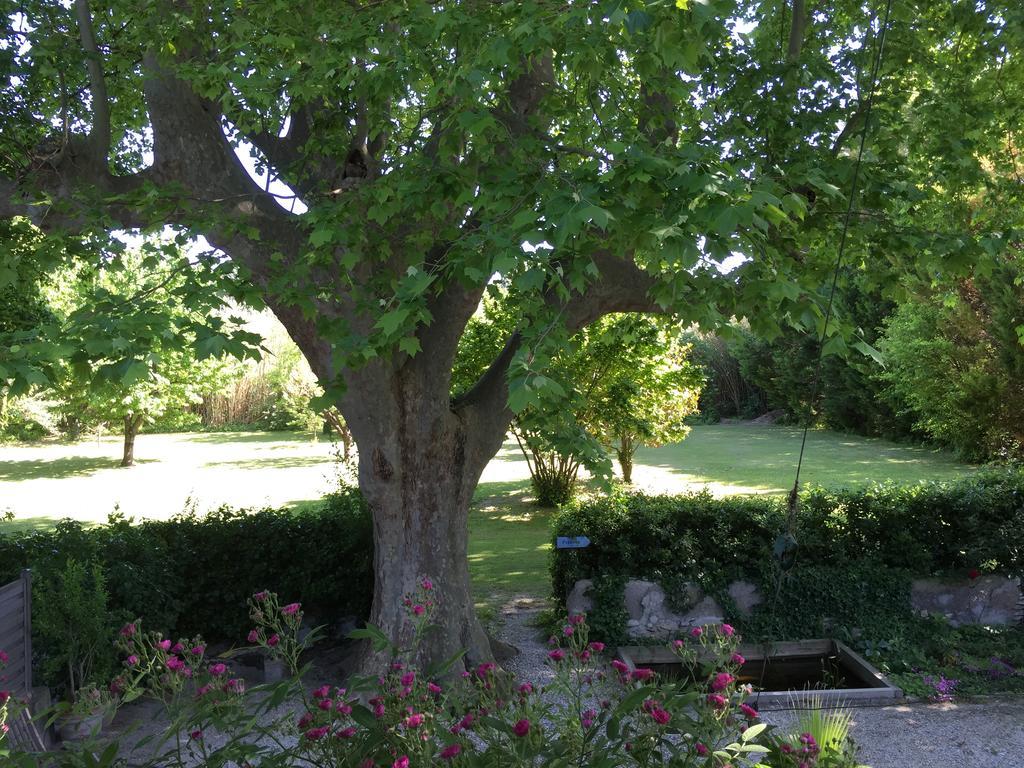 Montjoia Bed & Breakfast LʼIsle-sur-la-Sorgue Eksteriør bilde